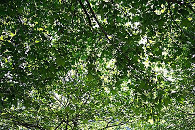 更新之后略有改善 《卧龙：苍天陨落》PC版性能分析